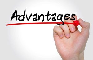 Advantages - Franchise Resales