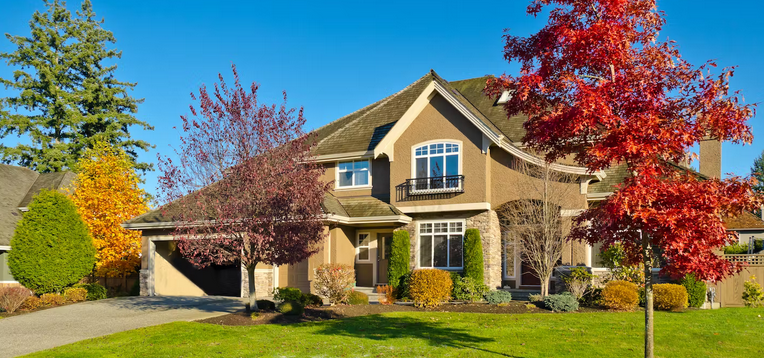 RE/MAX Franchise & Other Real Estate Business Opportunities