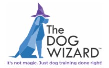 The Dog Wizard
